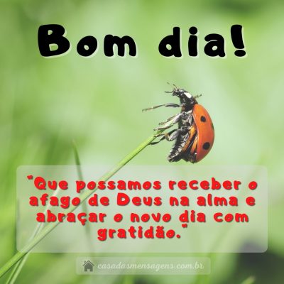 Arquivos Bom dia - Casa das Mensagens Arquivos Bom dia - Casa das Mensagens