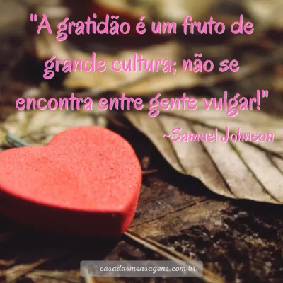 Arquivos frases de gratidão - Casa das Mensagens