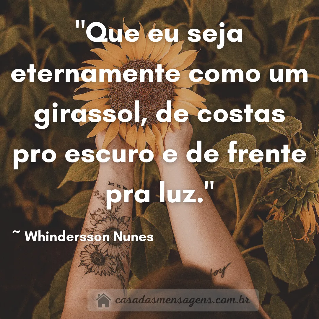 Frase de Girassol Whindersson Nunes